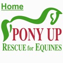 Pony Up